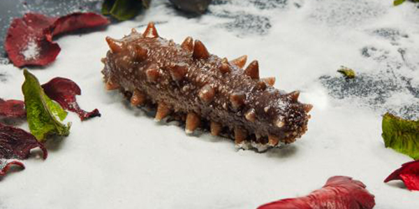 怎樣快速的區(qū)分淡干海參、鹽干海參和凍干海參？